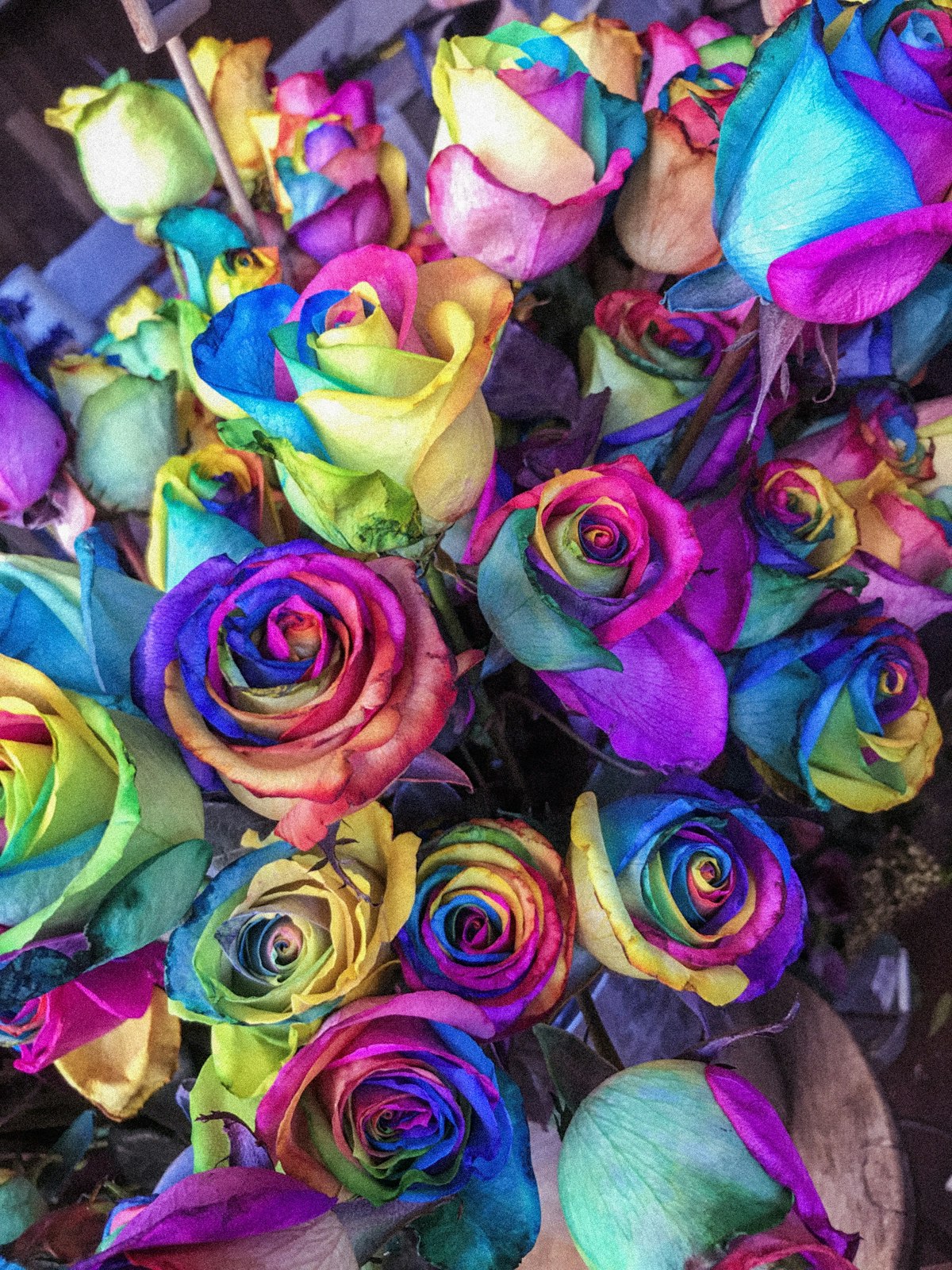 Colorful Birthday Bunch